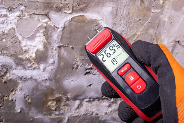Best Attic Mold Remediation in Bernalillo, NM